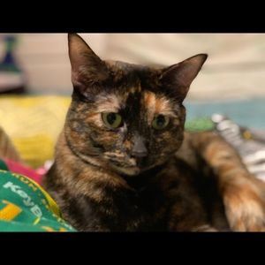 Meet your Posher, Kristina